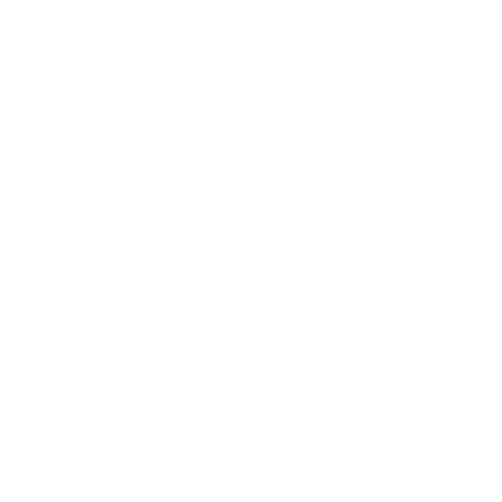 logo2